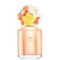 DAISY EVER SO FRESH DAISY EVER SO FRESH
